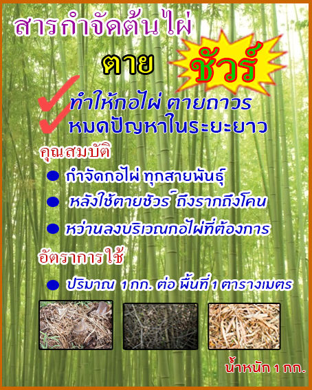 สารกำจัดไผ่-สารฆ่าต้นไผ่-สำหรับใช้กำจัดกอไผ่โดยเฉพาะ-ไม่เป็นอันตรายต่อคนและสัตว์-ไม่ได้ผลยินดีคืนเงิน-น้ำหนัก-1-กฺิโลกรัม