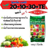 ถูก !! ปุ๋ยเกร็ด เวสโก้ 20-10-30+TE สูตรขยายขนาด และ เพิ่มความสมบูรณ์ของผล ละลายน้ำได้ดี บรรจุ 1 กิโลกรัม