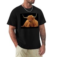 เสื้อยืด Highland Cow On Tiree เสื้อพิมพ์ลายสัตว์สำหรับ