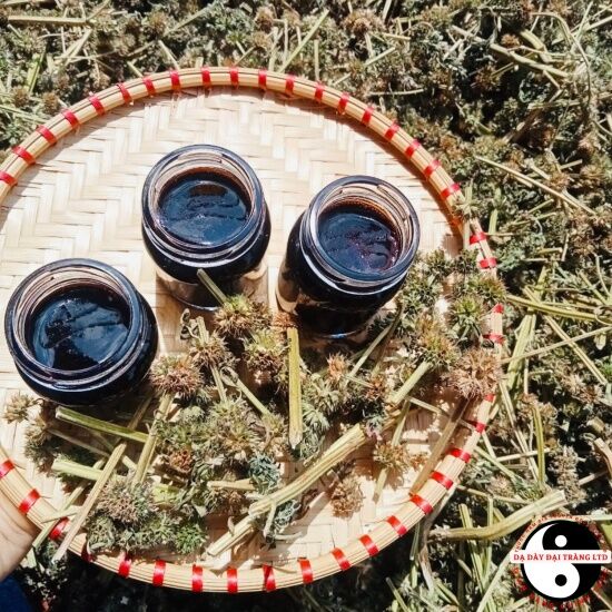 Cao ích mẫu là gì và tác dụng như thế nào