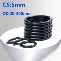 Black NBR O Ring 10Pcs/Lot CS 5mm OD20 300mm Rubber Ring NBR Sealing O Ring Seal Gasket Ring Washer High Quality For Car Gasket