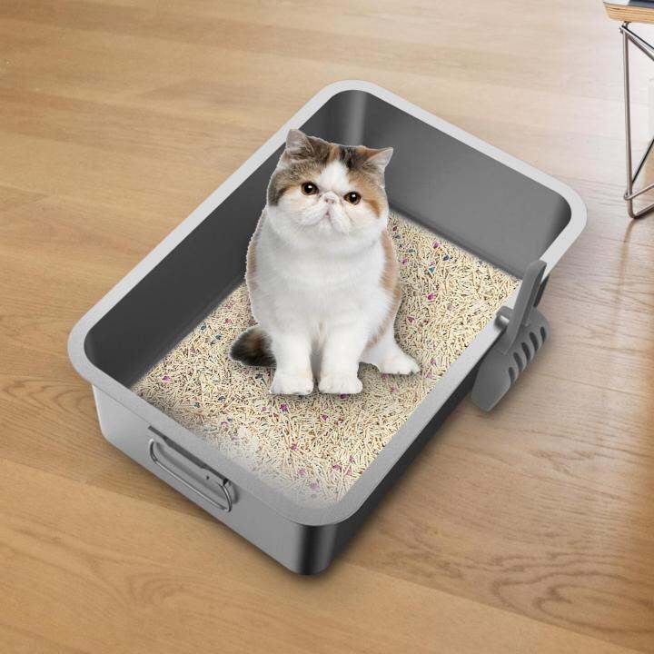 CCWonder Kitten Cat Litter Box Stainless Steel with Shovel Durable Semi