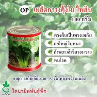 เมล็ดพันธุ์กวางตุ้งใบ ไพลิน จากประเทศนิวซีแลนด์ ตรา ใบไม้ 100 กรัม จำนวน 1 กระป๋อง จาก ไดนามิคพันธุ์พืช Leaf Pakchoy seeds (Pailin) 100 grams imported by Dynamic Seeds