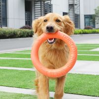 Dog Toys For Aggressive Chewers Pet Flying Disk Training  Puller EVA Interactive Training  Puller Resistant For Dogs