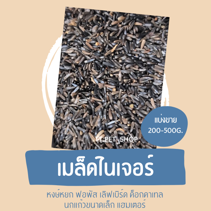 เมล็ดไนเจอร์-แบ่งขาย-200-500g-อาหารหงษ์หยก-ฟอพัส-เลิฟเบิร์ด-ค็อกคาเทล