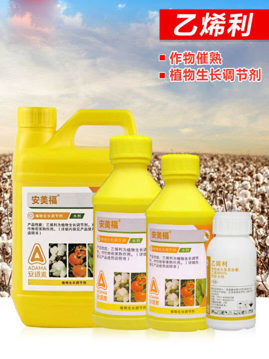 ethephon mango ripening agent banana ethylene persimmon regulator