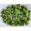 Kích thước 3-4 cm. tảo marimo - ảnh sản phẩm 2