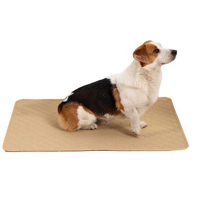 【CC】 Dog Training Washable Pee Super Absorbent Non-Slip Crate Reusable Incontinence for Dogs Cats