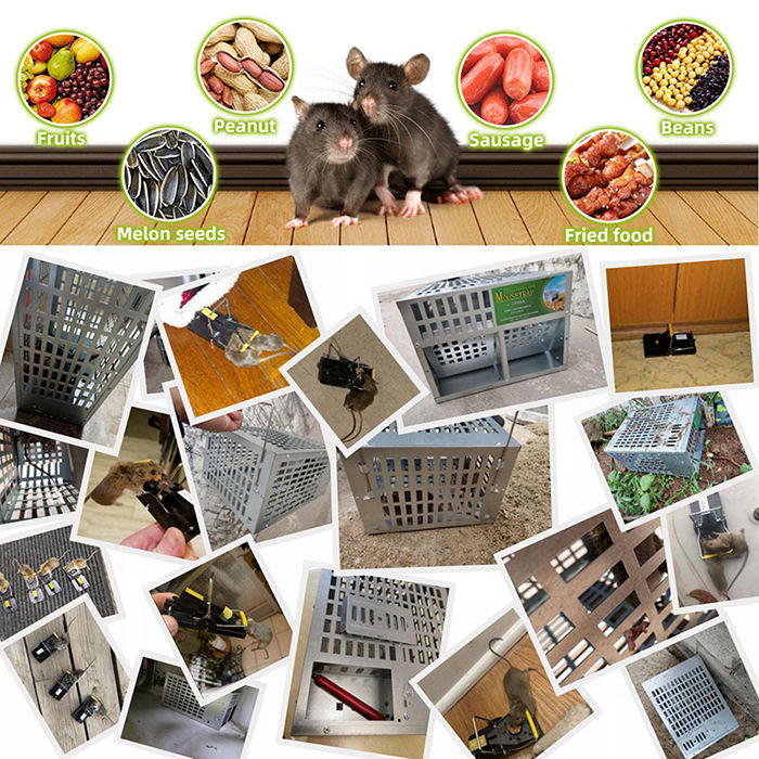 Termurah - Perangkap Jebakan Tikus Masal Rolling Log Mouse Trap