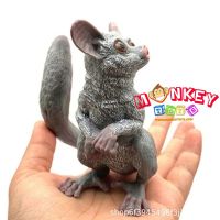 Monkey Toys - โมเดลสัตว์ Sugar Glider กระลอกบิน ขนาด 10.00 CM (จากหาดใหญ่)