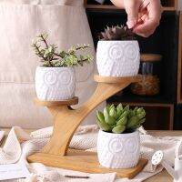 OOTDTY Cute Owl Pot Succulent Cactus Planter Flowerpot Set With 3 Layers Flower Pergola Bamboo Shelf Tray Kit Decor