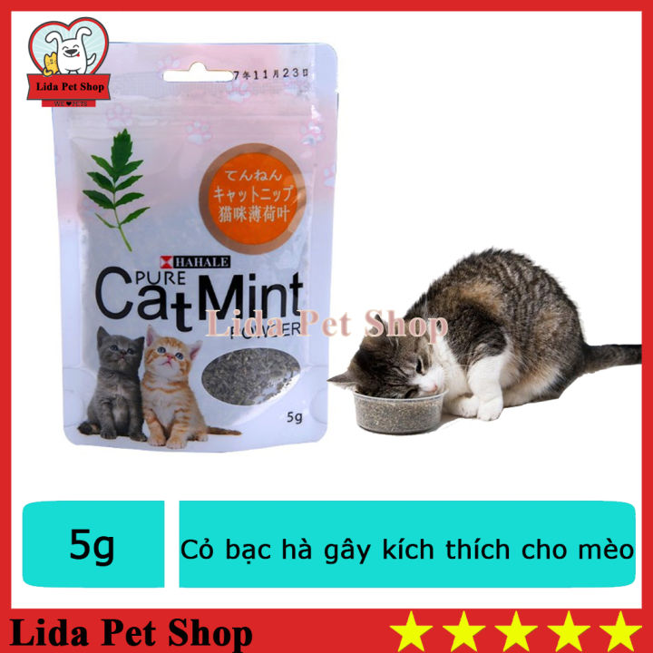 Hn- Cỏ Mèo (Gói 5Gr Catmint) Đồ Chơi Cho Mèo Ngửi Và Gặm Hạn Chế Búi
