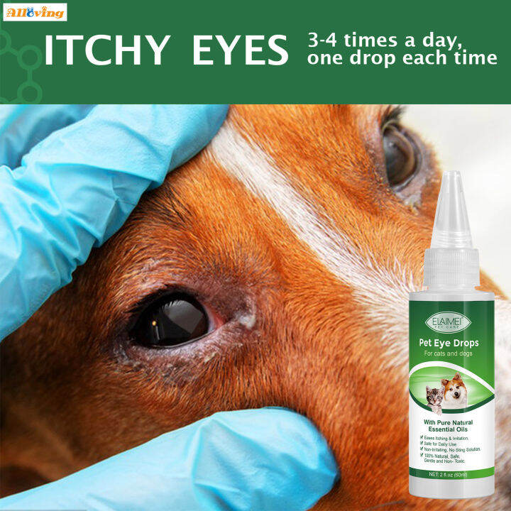 Cat clearance conjunctivitis drops