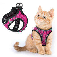 Reflective Cat Dog Harness And Leash No Pull Colorful Vest-Style Chest Nylon Mesh For Puppy Walking Training Pet Accessories