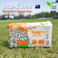 สแปกนั่มมอส สแปกมอส สแฟกนั่มมอส ขนาด 12L 150 กรัม เบสโกรว์ Besgrow Spagmoss วัสดุปลูกต้นไม้ วัสดุเพราะกล้า เร่งราก