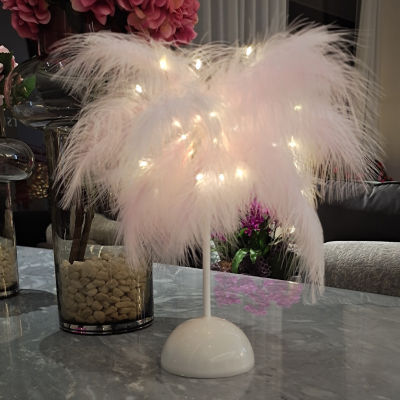 Led Atmosphere Lamp Lovely Feather Dress Up Warm Night Lamp Girls Decorative Bedside Lamp Home
