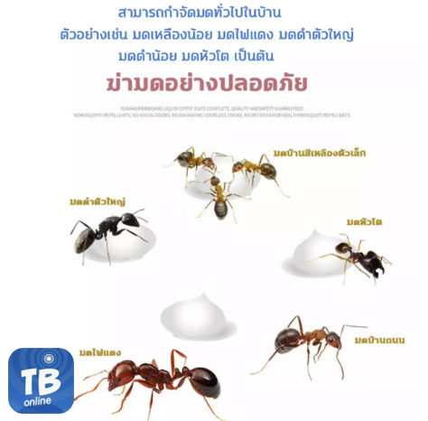 กำจัดมดปลวก-ผงกำจัดมด-กำจัดปลวก-ป้องกันปลวก-เหยื่อกำจัดมด-กำจัดปลวกตายยกรัง-ผงกำจัดมด-ผงฆ่าปลวก-ไล่ปลวก