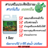 สารจับใบ สารจับใบดูดซึม เกรทกรีน กิฟฟารีน สารเสริมประสิทธิภาพ เพิ่มการดูดซึม ปรับสภาพน้ำ ขนาด 1 ลิตร