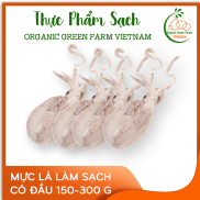 OGF - Mực lá làm sạch có đầu 150 - 300g- Thích hợp với các món hấp, xào,