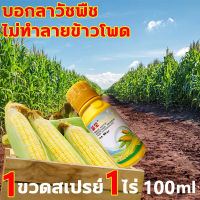 ?ไม่ทำลายข้าวโพด บอกลาวัชพืช? ฆ่าหญ้าข้าวโพด ยาข้าวโพด 100ml เข้มข้นสุดๆ ฆ่าหญ้ารอบข้าวโพด กำจัดหญ้าในไร่ข้าวโพด​​ กำจัดวัชพืชเท่านั้น ไม่ทำลายข้าวโพด สารกำจัดวัชพืชใบแคบและใบกว้าง หญ้าตีนกา หญ้านกสีชมพู หญ้าดอกขาว ยาฉีดหญ้าข้าวโพด