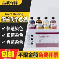 staining solution kit biological agent crystal violet iodine liquid sand bacteria rapid decolorization counterstaining