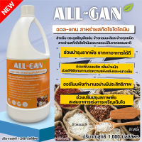 ปุ๋ยน้ำตระกูลธัญพืช1000ML.บำรุงราก เพิ่มผลผลิต และน้ำหนักให้กับข้าว ALL GAN สาหร่ายสกัดไซโตไคนิน ต้านทานความแห้งแล้งและแมลงศัตรูพืช