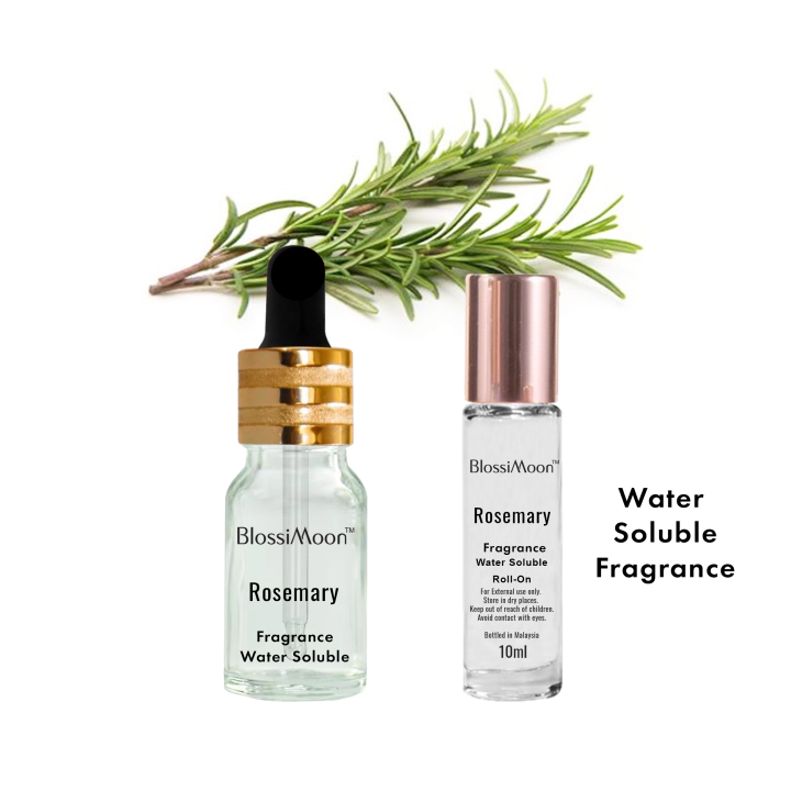 Rosemary Fragrance Water Soluble Lazada
