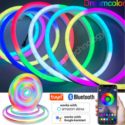 12V LED Neon Strip Light Dreamcolor RGBIC Soft Flexible LED Strip Light WS2811 Dimmable RGB Chasing Tape RemoteBluetoothWiFi