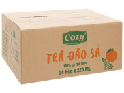 Thùng 24 hộp trà đào sả Cozy 225ml