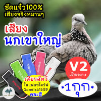 เสียงนกเขาใหญ่ *1กุก* (V2-เสียงกลาง) เมม/แฟลชไดร์ฟเสียงต่อนกเขาใหญ่ มีเก็บเงินปลายทาง ชัดแจ๋ว 100% ไม่มีโฆษณาแทรก (MP3 เสียงต่อสัตว์)