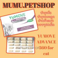 YUMOVE ADVANCE 360 60เม็ด for Cats ActivEase Green Lipped Mussel อาหารเสริมสำหรับแมว บำรุงข้อต่อแมว