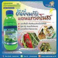 ปราซคลอร์โร ขนาด 100ml (โรคแอนแทรคโนส โรคใบจุด)