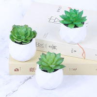 Furniture Vase Mini Artificial Potted Succulents Creative DIY Indoor Small Ornaments Plastic Artificial Flower Plants