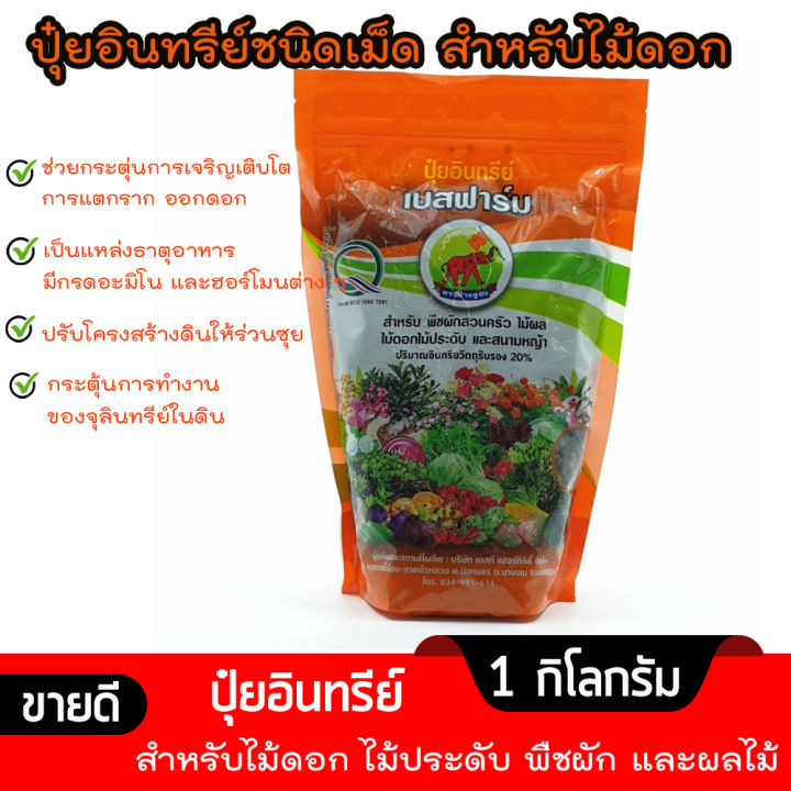 ปุ๋ยอินทรีย์ชนิดเม็ด-ตรา-ช้างชูธง-1-kg-ปุ๋ยสำหรับไม้ดอก-ไม้ประดับ-พืชผักสวนครัว-homes