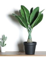 Small Black Potted Artificial Plant Greenery For Home Weeding Party Decor Office Table Decor Plastic Greenery Garden Outdoor Indoor Decor