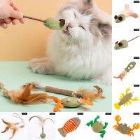 Catnip Ball Cat Toy Mouse Animal Feather Cat Toy Pet Supplies Cat Tooth Cleaning Interactive Chew Toy Pet Product Accessories Toys