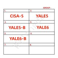 ต้นฉบับเครื่องมือ LISHI 2In1 2 In 1 AKK CISA-5เยล-5 YALE6 YALE5-B YALE6-อุปกรณ์ช่างกุญแจ B