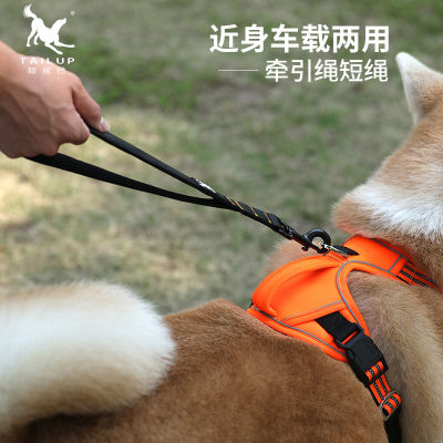 สัตว์เลี้ยงรถอเนกประสงค์เดินไนล่อนเชือกลากจูง, สินค้าใหม่สำหรับเดินกลางแจ้ง Dog Rope H5AI