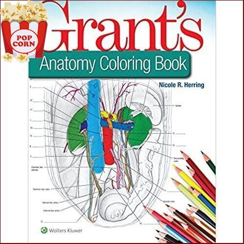 good-quality-great-price-gt-gt-gt-grants-anatomy-coloring-book-แถม-สีไม้-staedtler-24-สี-9781496351258