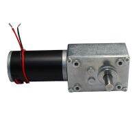 จอ Dc เพลาคู่แบบ Gw4058-31zy 1ชิ้นมอเตอร์กล่องเกียร์หนอน12V/24V 110Rpm/220Rpm