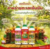 สาหร่ายสำหรับงานเกษตร  500ml สาหร่ายเข้มข้น ปลานิลทอง สาหร่ายบำรุงใบ สาหร่ายบำรุงดอก