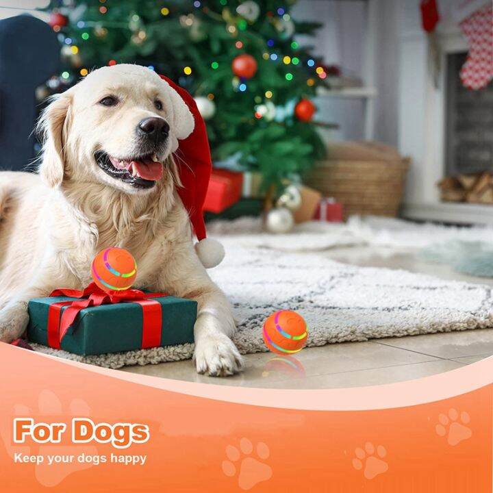 interactive-dog-toys-motion-activated-automatic-rolling-ball-dog-toys-for-puppies-small-to-medium