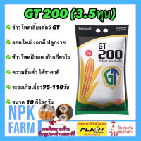 ข้าวโพดเลี้ยงสัตว์ GT200 เม็ดกลมกลาง 3.5 หุน ขนาด 10 กิโลกรัม ลอตใหม่ งอกดี ฝักสด เก็บเกี่ยวไว ความชื้นต่ำ ขายได้ราคาดี เน้นเก็บเร็ว 110 วัน