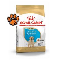 (ส่งฟรี)Royal Canin Labrador Junior อาหารเม็ด สูตรลูกสุนัขพันธุ์ลาบราดอร์ 3kg