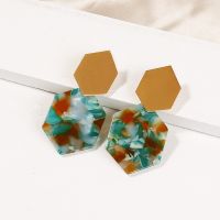 [Free ship] New Earrings Acetate Plate