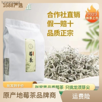 (ร้านค้า) Tengcha Mouldy Tea Zhangjiaji Berry Tea 220กรัม Yajian Longxu Berry Tea Direct Throat Tea Tuowengoji