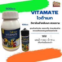 VITAMATE ไวต้าเมท วิตามินสำหรับนกสวยงาม อุดมด้วยวิตามิน กรดอะมิโน (ขนาด 100CC/500CC)