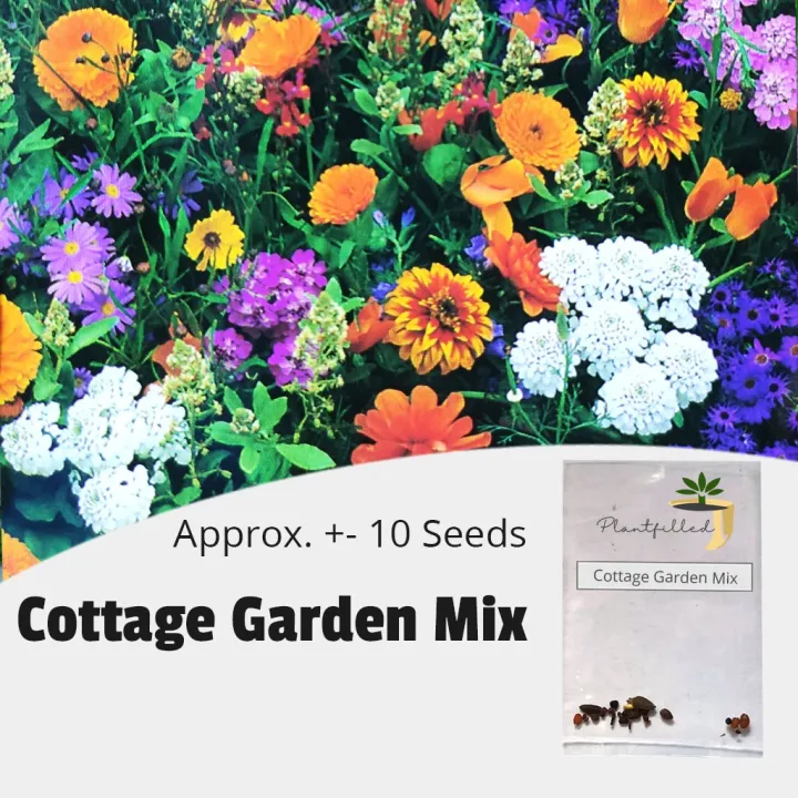 [Plantfilled] Cottage Garden Mix Seeds for Planting Flower 10 Seeds