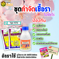 ? ชุดกำจัดเชื้อรา คูโปรราซ+ซิมฟาร์เน็ต 500ซีซี+100กรัม*2ซอง ป้องกันเมล็ดด่าง คอรวงใหม้ ราสนิม แถมฟรีนูโปรมิกซ์ ซองชมพู