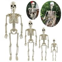 Full Life Size Human Skeleton Halloween Prop 90CM Haunted House Hanging Props Haunted House Horror Props Halloween Ornament Toys